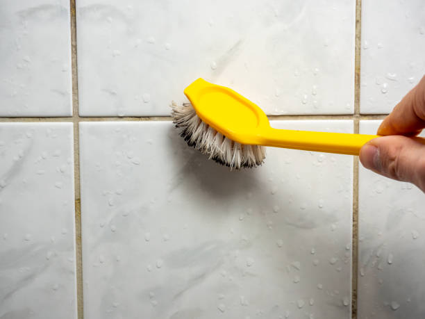 Best Mold Remediation Experts  in Brookside Village, TX