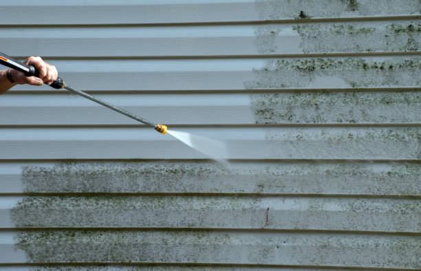 Attic Mold Removal in Brookside Village, TX